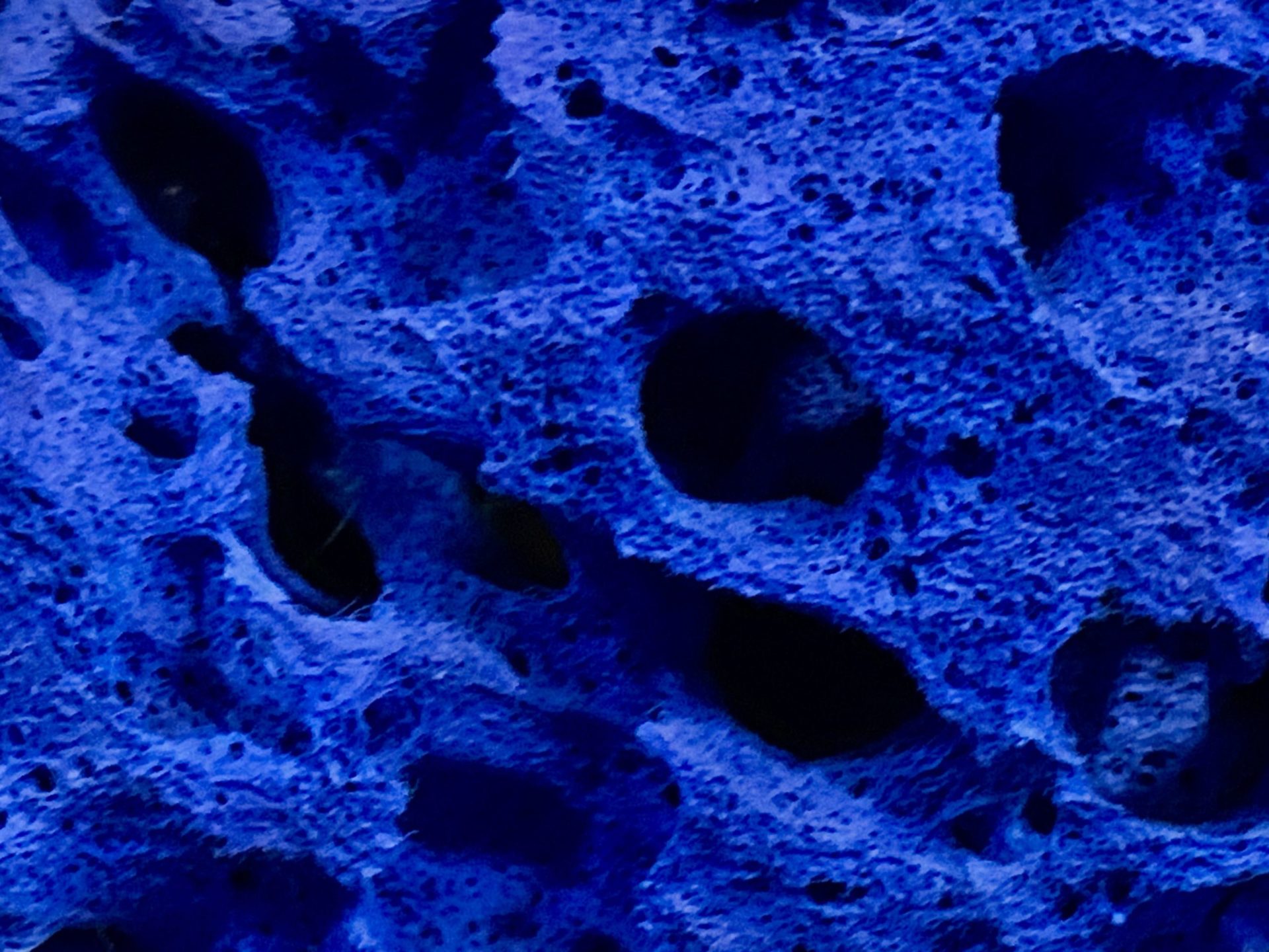 Yves Klein