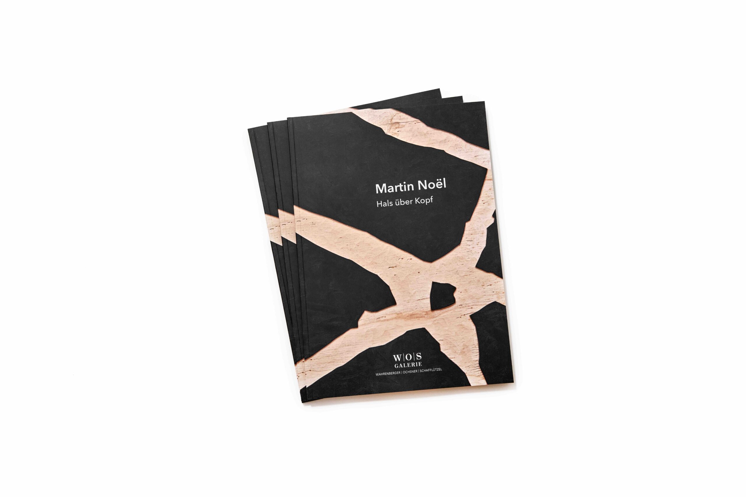 Katalog Galerie WOS Martin Noël (Fotorecht Zak van Biljon) klein